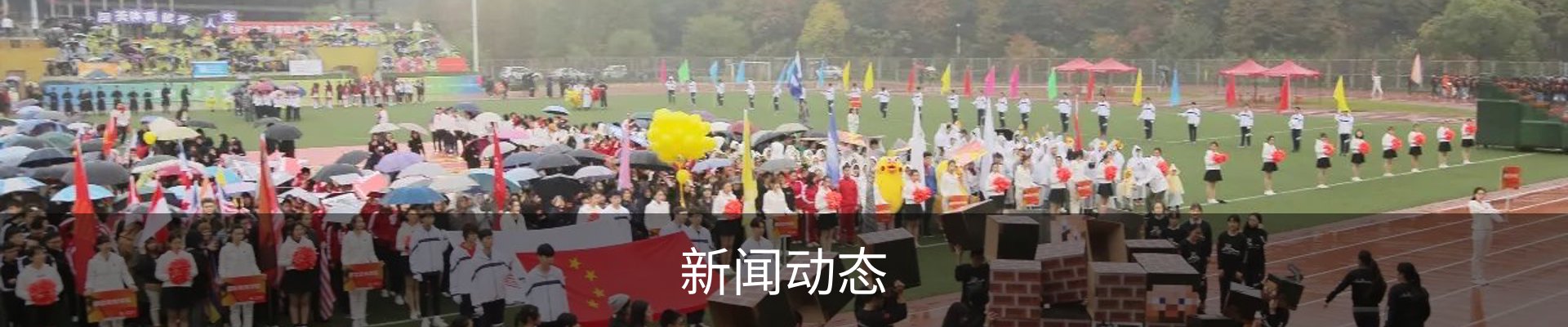 新闻动态