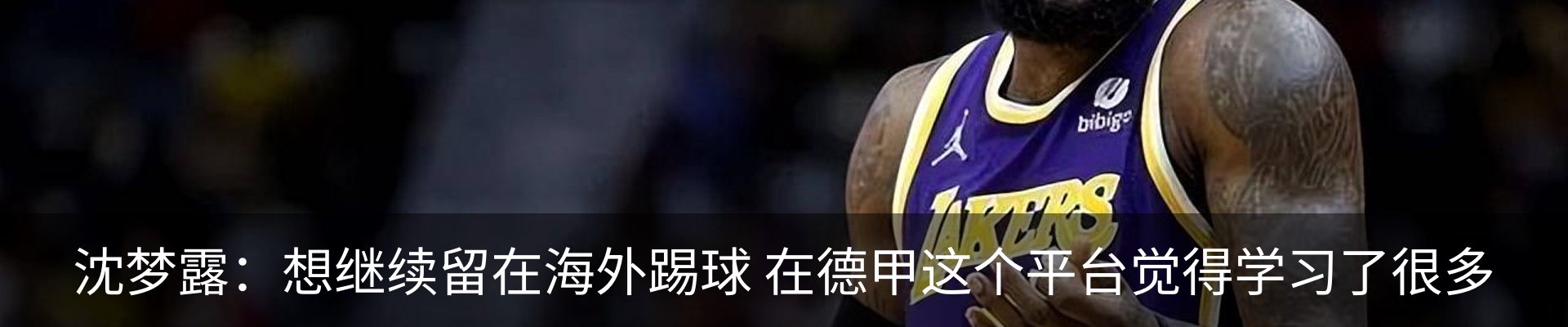 新闻动态